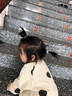 papa爬爬春婴儿连体衣新生儿衣服棉男女宝宝束脚爬服儿童可爱休闲款 米白色（不含帽子） 80cm 实拍图