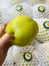 爱鲜摘农场正宗山西玉露香梨5/10斤梨子新鲜水果顺丰礼盒当季整箱香酥梨雪梨 7A 精选果 |单果200-250g【很甜】 5斤装【爆款主推-80%选择】巨划算 实拍图