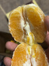 探味君 江西夏橙 应当季时令手剥冰糖甜橙子新鲜水果整箱 净重8.5-8.99斤 单果70mm-75mm 实拍图