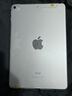 Apple 苹果平板电脑 iPad mini5 二手平板电脑 银色 256G WiFi+4G 实拍图