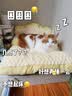 华元宠具（hoopet）猫窝保暖冬季大号超级大猫窝狗窝四季通用猫咪垫子睡觉用猫沙发床 免洗手套 实拍图