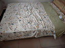 安睡宝（SOMERELLE）100%全棉床上四件套纯棉 床单款床上用品被套200*230cm1.5/1.8米 实拍图