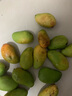 味果生海南小台农芒果9斤新鲜小台芒当季热带水果现摘甜心小芒果整箱 3斤净重2.8斤 小果 实拍图