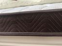 香榭柏兰 椰棕床垫棕垫硬棕榈床垫子 天然乳胶榻榻米床垫定做定制 14CM厚（防螨面料+10cm椰棕+1CM乳胶） 1.2米*1.9米 实拍图