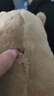 卡皮巴拉毛绒玩具公仔儿童生日礼物女孩情人节礼物水豚毛绒玩偶 卡皮巴拉公仔 1个装（新人专享） 实拍图
