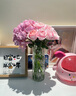 云南鲜花批发品质玫瑰百合水养鲜切花送女友水养鲜花源头直发 绣球粉色-1支（深粉浅粉随机发货） 【任选2件—不收运費】 实拍图