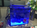 方小章背滤海水缸全套小丑鱼珊瑚缸新手中小型客厅桌面方缸超白玻璃鱼缸 HB350-标配+挡板 实拍图