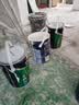 多乐士（Dulux） 森呼吸淳零无添加硅藻抗甲醛五合一 乳胶漆油漆涂料墙面漆 A8211 5L单桶 白漆 不可调色 实拍图