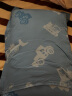 罗莱儿童（luolaikids）A类天丝棉单人上层100%蚕丝中枕头芯蓝 实拍图