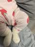 迷你巴拉【植物芯】巴拉男女童纯棉内衣套装宝宝亲肤打底 实拍图
