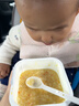 宝宝馋了婴幼儿出游冲冲粥瘦肉山楂苹果14g十一出行辅食餐冲泡即食 实拍图