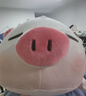 名创优品（MINISO）小猪B-BO翅膀款趴毛绒公仔玩具玩偶抱枕娃娃送女友儿童生日礼物 实拍图