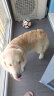 麦富迪狗粮 藻趣儿2.5kg 幼犬中大型小型犬通用（牛肉螺旋藻）金毛泰迪 实拍图