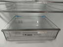 统帅（Leader）海尔出品219升风冷白色三开门三温区抗菌租房家用小型电冰箱LC3-230WW9国家补贴15%【218青春款】 实拍图