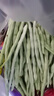 京鲜生山东新鲜白芸豆净重3斤装白不老新鲜蔬菜源头直发包邮 实拍图