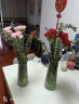吕姆克玻璃花瓶插花瓶干花仿真花客厅桌面书房富贵竹花瓶大号高30CM5050 晒单实拍图