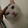 猫人兔毛绒毛毯冬季加厚仿皮草办公室冬天午睡毯法兰绒沙发毯被子单人 兔毛卡其【皮草级软糯手感】 150x200cm【双面毛绒软糯贴身】 实拍图