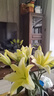 悦多彩AB级优质香水百合 家庭办公室各色生活鲜花 昆明基地 现采直发 黄色百合20朵（双头10枝） 实拍图