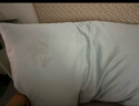 LOVO罗莱家纺 枕芯双人枕头一对装情侣对枕学生宿舍  47*73cm 实拍图