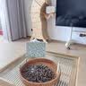 佳亿厨连 日式编织篮家用面包篮藤编托盘下午茶餐具双耳糖果盘水果点心篮 木手柄果篮小号 实拍图
