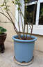 爱丽思（IRIS）花瓶彩色Deepot圆形月季铁线莲花盆园艺批发树脂花盆塑料盆 14号雾霾蓝 （带盆托） 深型 实拍图