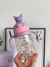 cica儿童水杯库洛米宝宝学饮吸管杯PPSU婴幼儿园奶瓶3月-6岁以上水壶 三丽鸥库洛米 450ml -背带+重力球 实拍图