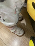 牧童宝宝学步鞋秋冬款婴幼儿童鞋软底皮面小白鞋女童机能鞋男童步前鞋 贝壳白（夏凉鞋） 16 鞋内长12.3cm 实拍图