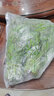 香椿芽新鲜野生头茬红油嫩芽当季香春叶菜椿芽蔬菜芽菜鲜嫩野菜 优选香椿芽2斤装 实拍图