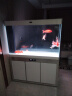 汉霸超白玻璃鱼缸 生态底滤循环系统 鱼缸客厅 家用智能懒人 水族箱 银+白 屏风款1.2米长x40cm宽x82cm+71cm高 晒单实拍图