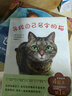 寻找自己名字的猫  暖心感人大奖绘本睡前故事家庭共读 3-6岁爱心树童书 实拍图