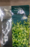 珀莱雅面膜 小球藻面膜补水保湿海藻面膜男女士补水面膜 33片 晒单实拍图