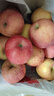 甜醉了 烟台苹果栖霞红富士新鲜水果生鲜山东特产脆甜整箱平果礼盒礼品 净重8.5斤80-90mm 实拍图