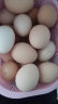 忆乡岭农家散养五谷喂养新鲜土鸡蛋单枚 15枚装 晒单实拍图