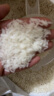 孟乍隆 苏吝府茉莉香米 泰国香米 进口大米 大米10kg 实拍图