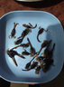 油炸蝎子活蝎子沂蒙山蝎子现炸现发十足全蝎油炸全蝎即食中药材 大号50只【6-7厘米】原味 实拍图