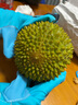 市舶士马来西亚猫山王榴莲D197整果树熟液氮冷冻榴莲进口水果礼盒 【保底5房】AA级珍品 4.1-4.5斤 实拍图