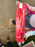 爸爸妈妈滑翔飞机儿童玩具手掷手抛玩具飞机泡沫飞机航模儿童户外飞机男孩女孩生日六一儿童节礼物 实拍图