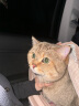 福丸 猫包外出便携包航空箱大号猫狗宠物手提式太空舱透气背包  粉色 晒单实拍图