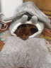 坏小宠 猫窝狗窝冬季宠物房子可拆洗狗猫房子狗窝夏季小型犬泰迪狗屋 L号20斤内可用（53*43*46cm） 实拍图