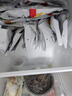 光合力量 无淀粉级原味鸡肉肠300g即食高蛋白低脂健身轻食代餐25g*12根 实拍图