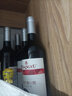 张裕红酒 张裕葡小萄甜红葡萄酒 甜葡萄酒 女士红酒11度750ML 单瓶装 实拍图