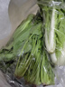 番茄约500g 实拍图
