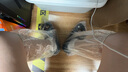 Banana Trip一次性防雨鞋套雨靴加厚男女通用长筒塑料鞋套20只装 透明成人款  实拍图