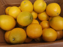 土八鲜江西橙子赣南脐橙新鲜水果赣州脐橙手剥甜橙礼盒 奋进橙9-10斤【果径70-79mm】 实拍图