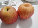 冉沃优选甘肃大漠正宗冰糖心红富士苹果高原脆甜苹果新鲜当季水果整箱 75-80mm果径（净重8.5斤中果） 实拍图