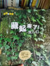 生命的故事 藏起来了（2册）2-3-6岁高清实拍动物自然昆虫百科全书 幼儿园趣味互动书 儿童动物世界游戏书  实拍图