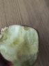 真臻古记甘肃花牛粉面苹果天水面苹果老人宝宝婴儿苹果 3斤小果70mm（含）-75mm(含) 实拍图