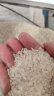 十月稻田 2023年新米 长粒香大米 10kg 东北大米 香米 20斤 实拍图