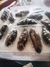东上御品海参即食大连鲜活野生辽刺参 固形物≥75%海鲜礼盒单个装年货 1000g 16-19只/斤 实拍图