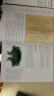 数学与艺术：一部文化史（普林斯顿大学出版社镇社之宝，独一无二的跨界珍藏巨著） 晒单实拍图